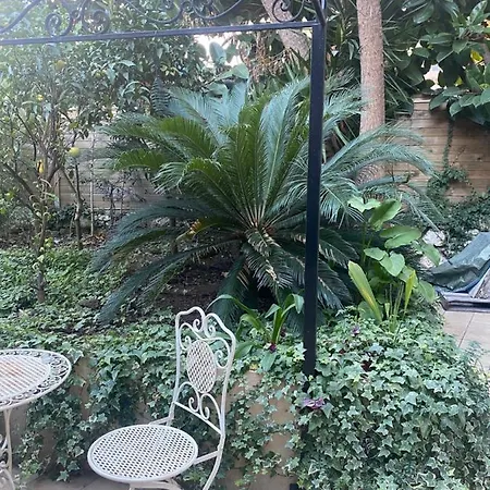 Studio 13B With Owner Garden In Beausoleil Appartamento